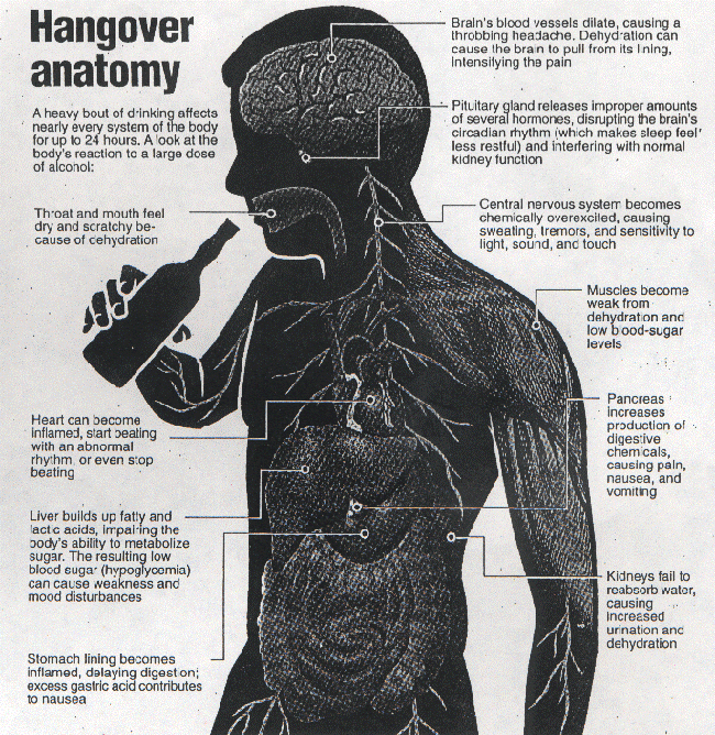 alcohol effects